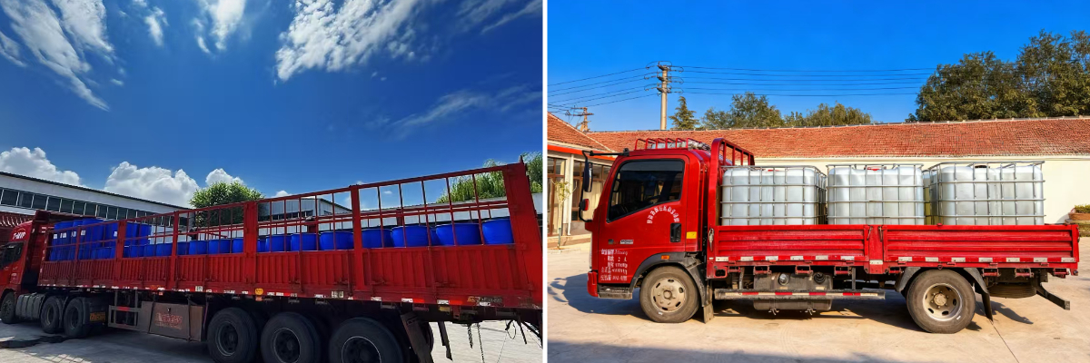 Протеиновая пена-концентрат