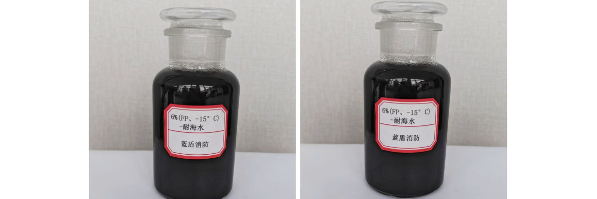 6 FP Espuma 6 FP Espuma